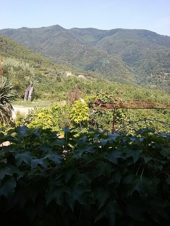 Casa Virgilio Bed & Breakfast Фосдиново Екстериор снимка